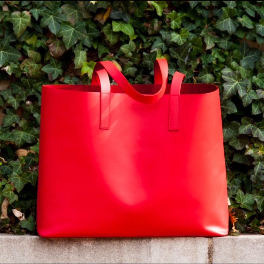 Everlane Day Market Tote